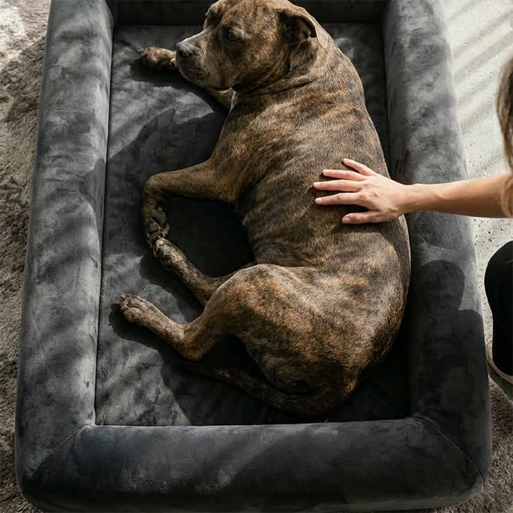 Premium Orthopedic Memory Foam Dog Bed - Charcoal