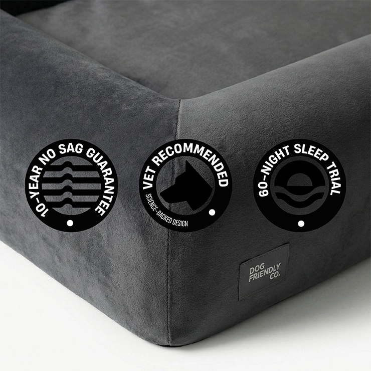 Premium Orthopedic Memory Foam Dog Bed - Charcoal (Large)