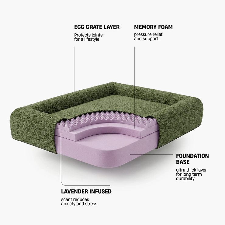 Premium Orthopedic Memory Foam Dog Bed - Green Bouclé (Large)