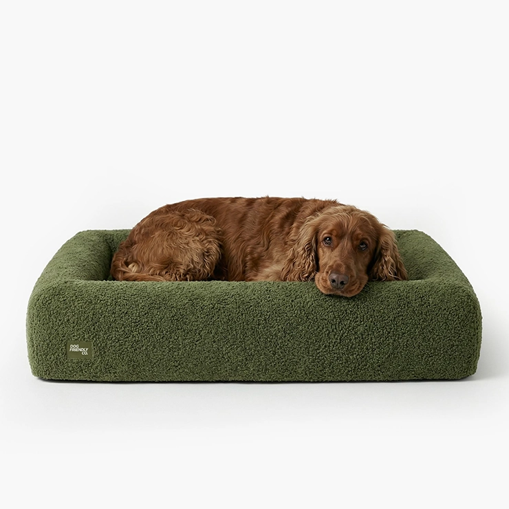 Premium Orthopedic Memory Foam Dog Bed - Green Bouclé (Large)