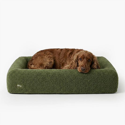 Premium Orthopedic Memory Foam Dog Bed - Green Bouclé (Large)