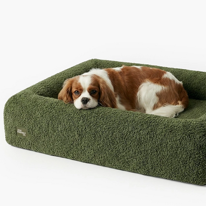 Premium Orthopedic Memory Foam Dog Bed - Green Bouclé