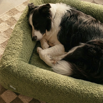 Premium Orthopedic Memory Foam Dog Bed - Green Bouclé (Large) (Preorder)