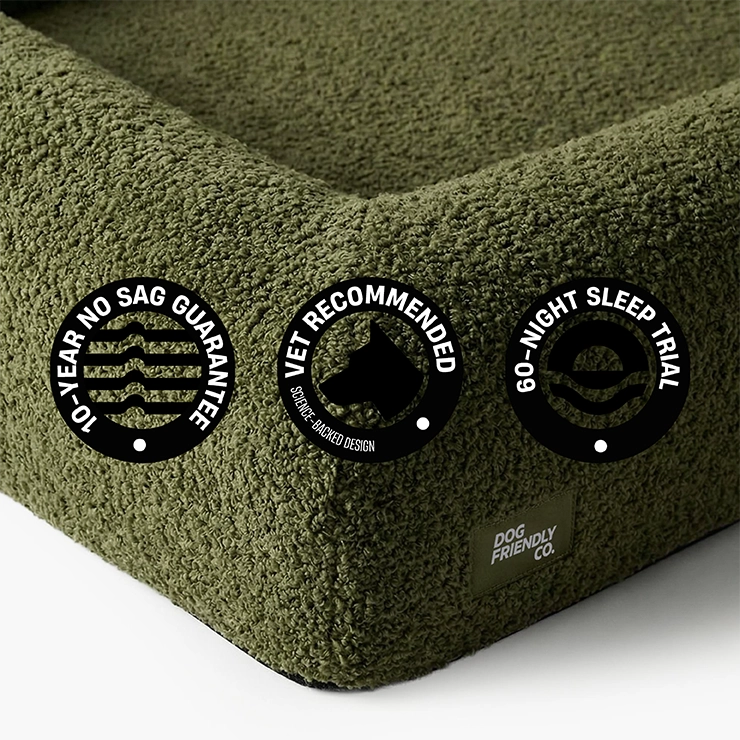 Premium Orthopedic Memory Foam Dog Bed - Green Bouclé (Medium)