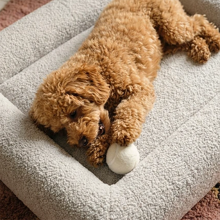 Premium Orthopedic Memory Foam Dog Bed - Grey Bouclé (Large)