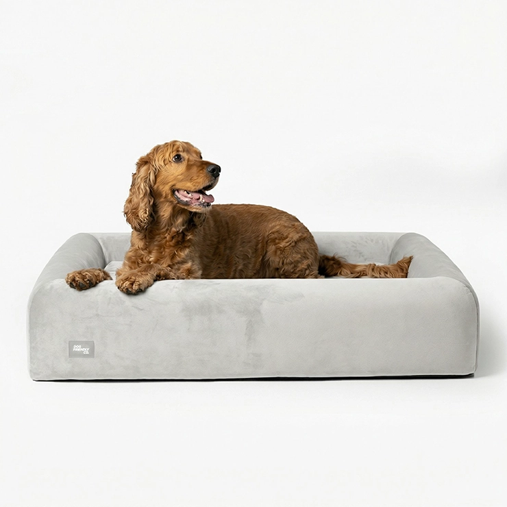 Premium Orthopedic Memory Foam Dog Bed - Grey (Large)