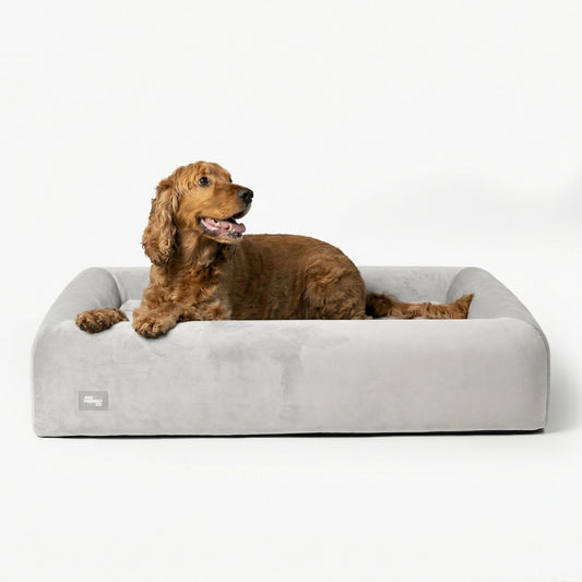 Premium Orthopedic Memory Foam Dog Bed - Grey