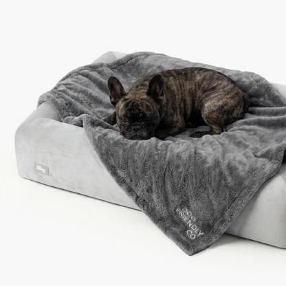 Premium Orthopedic Memory Foam Dog Bed - Grey (Medium) (LP)