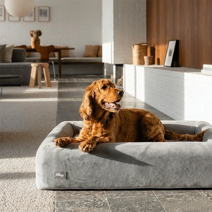 Premium Orthopedic Memory Foam Dog Bed - Grey (Large)