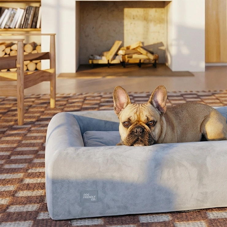 Premium Orthopedic Memory Foam Dog Bed - Grey (Large)