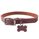Tactical Dog Collar - Yellow