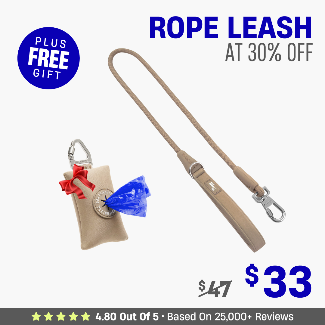 Get Leash at 30% OFF + FREE Poop Bag Holder