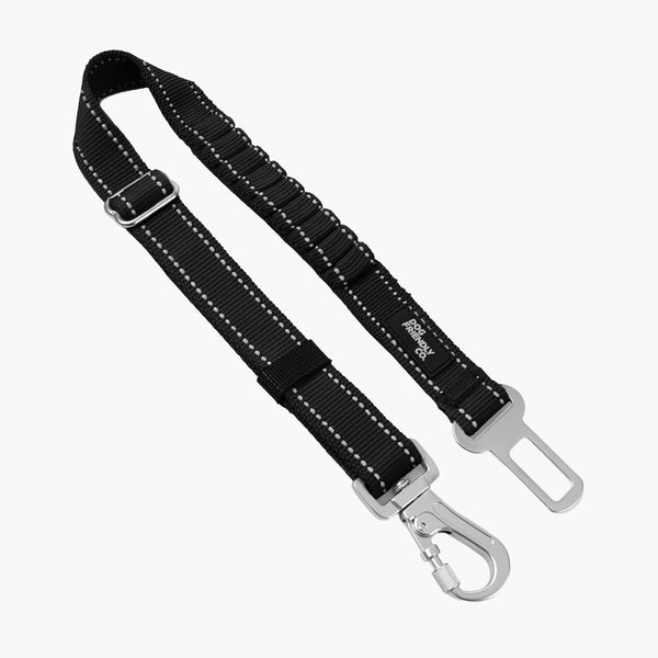 Seat Belt