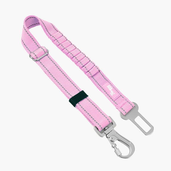 Seat Belt
