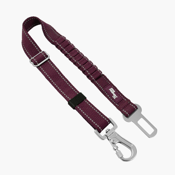 Seat Belt