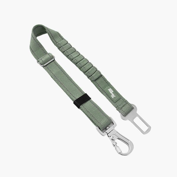 Seat Belt