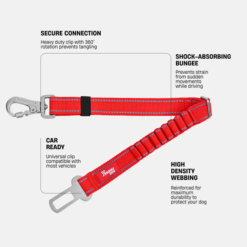 Dog Seat Belt