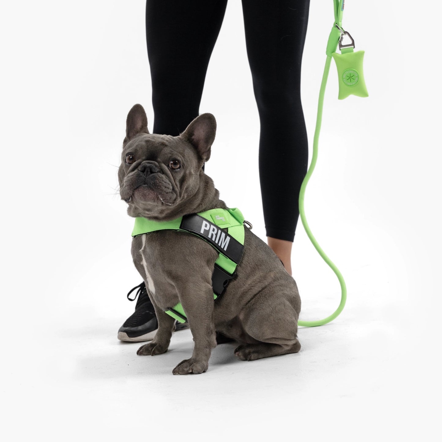 Signature Kit - Neon Green