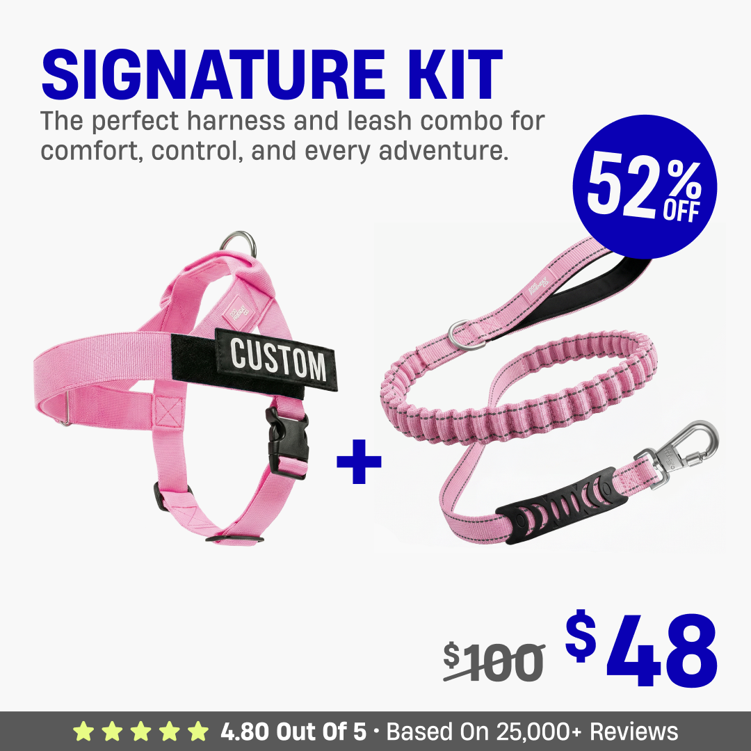 Signature Kit - 52% OFF