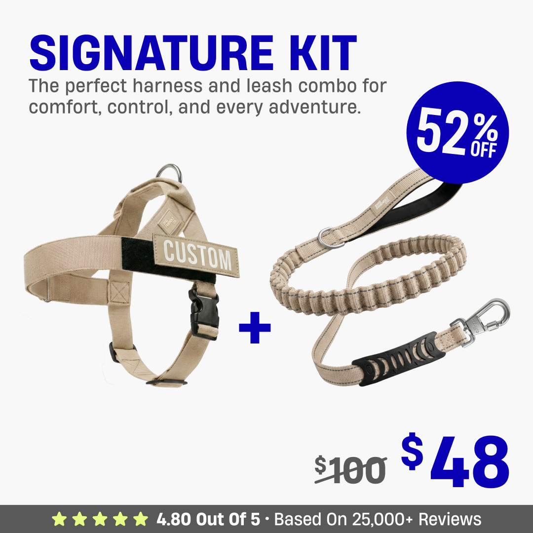 Signature Kit - 52% OFF