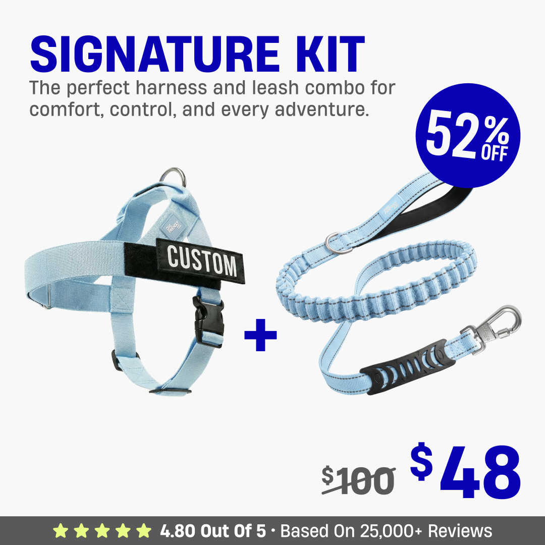 Signature Kit - 52% OFF