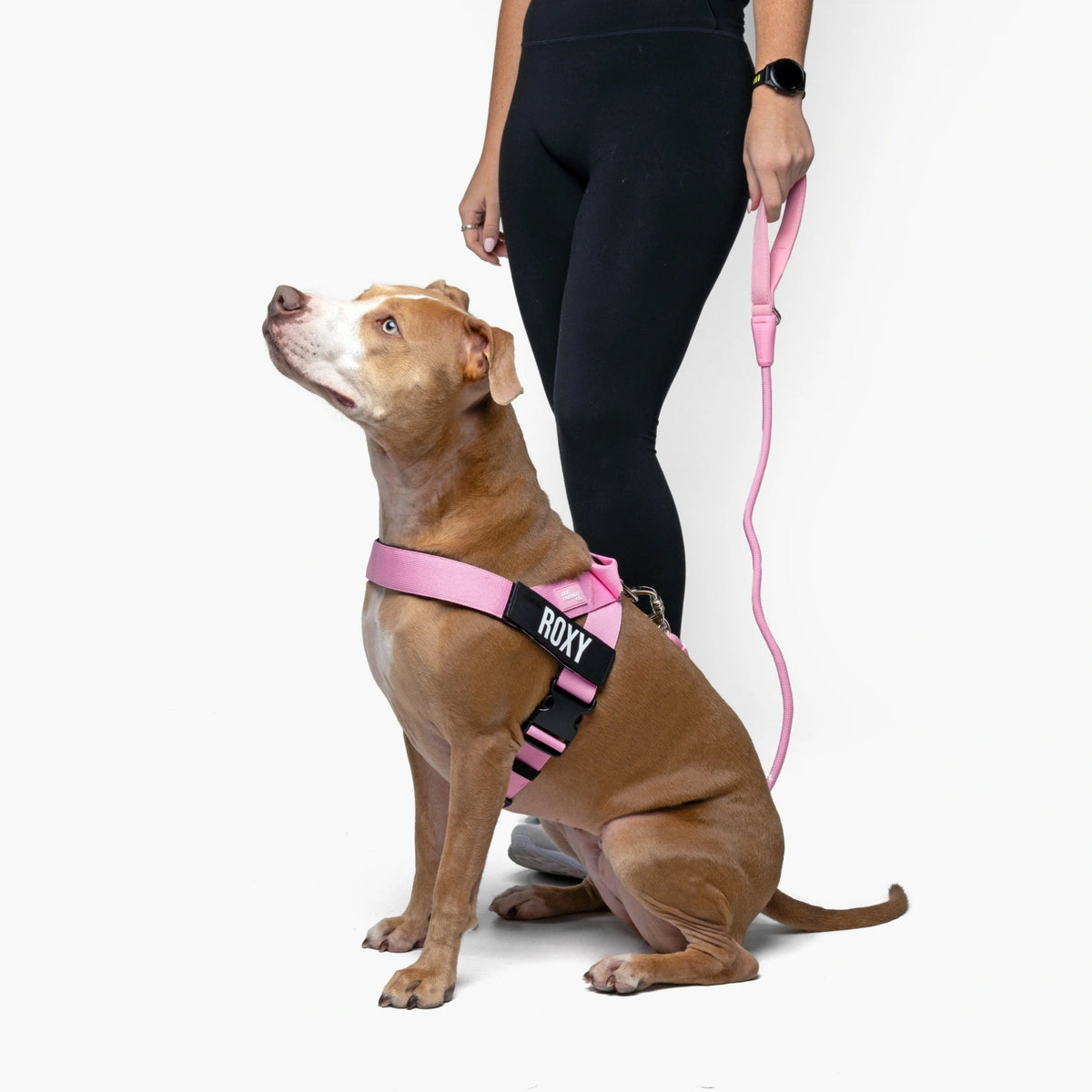 Signature Kit - Pink