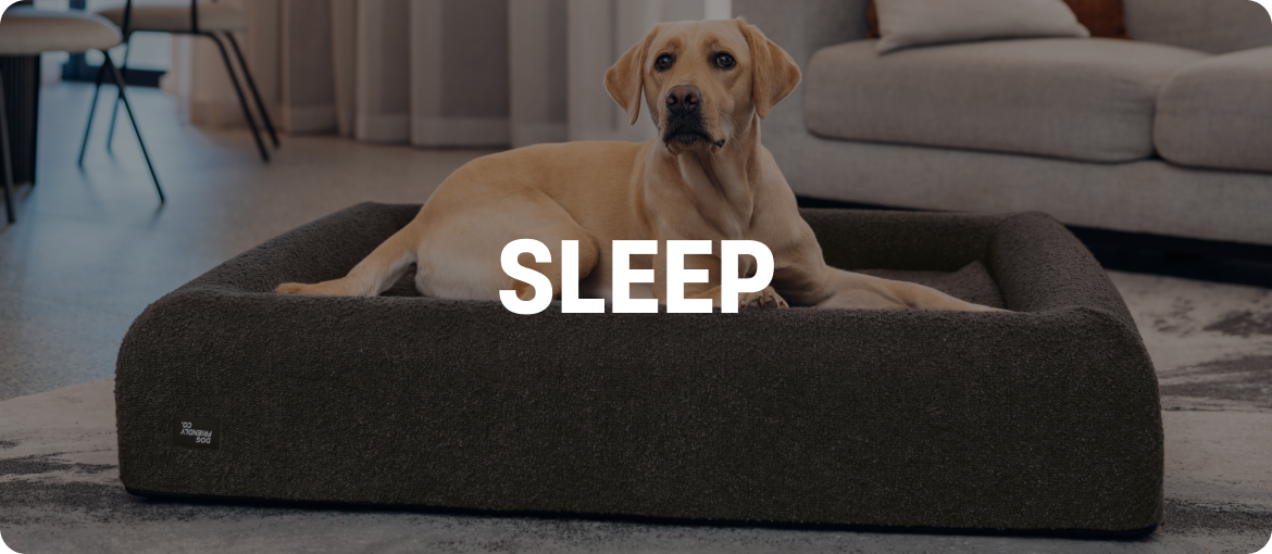 SHOP BY CATEGORY collection