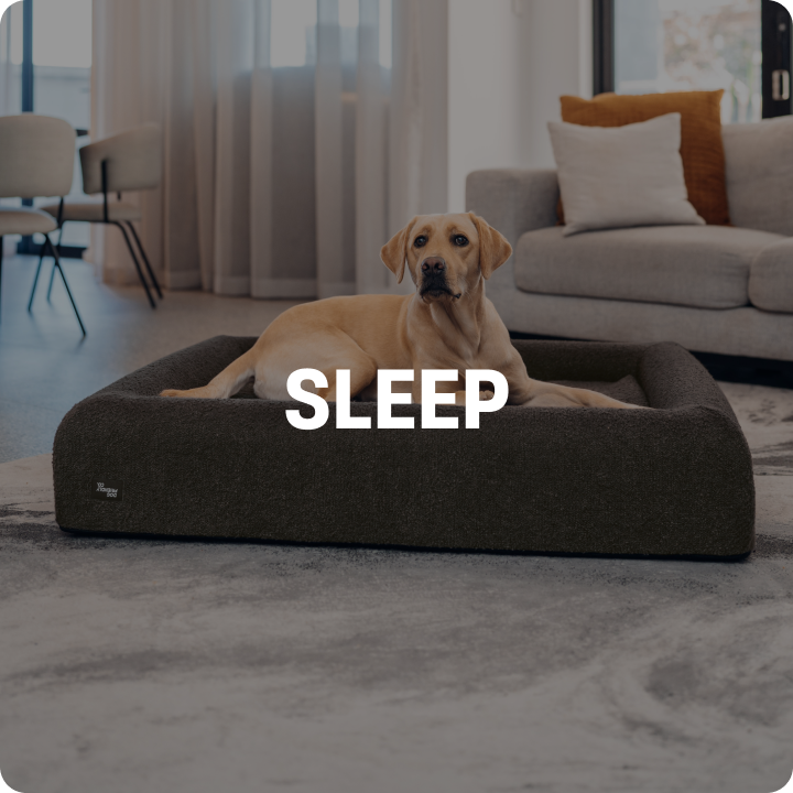 SHOP BY CATEGORY collection