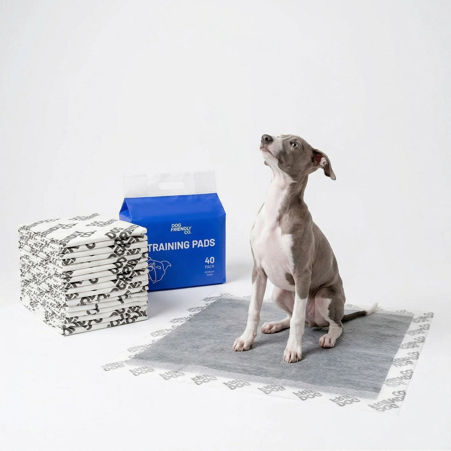 Training Pee Pad