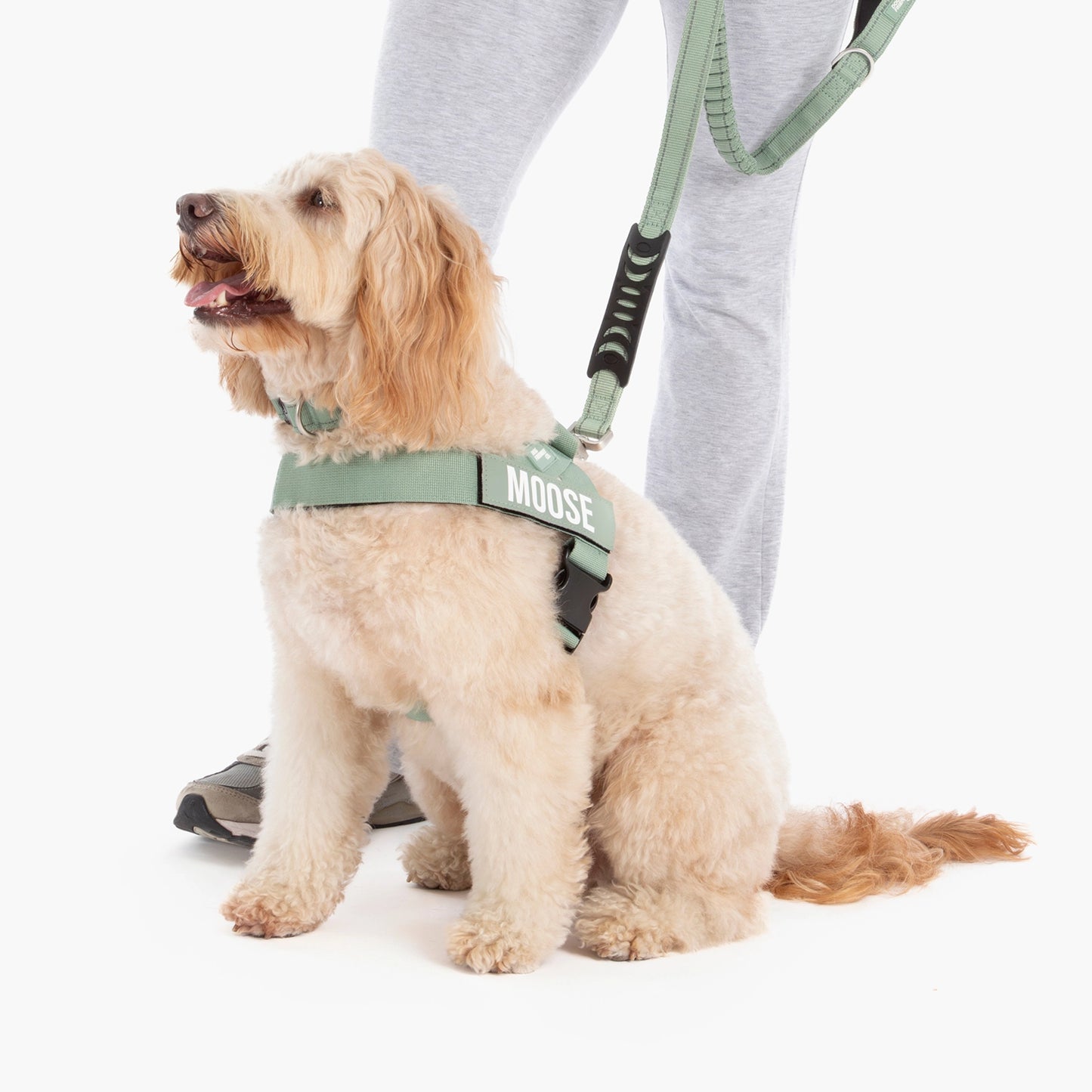 Ultimate No-Pull Bundle - Khaki