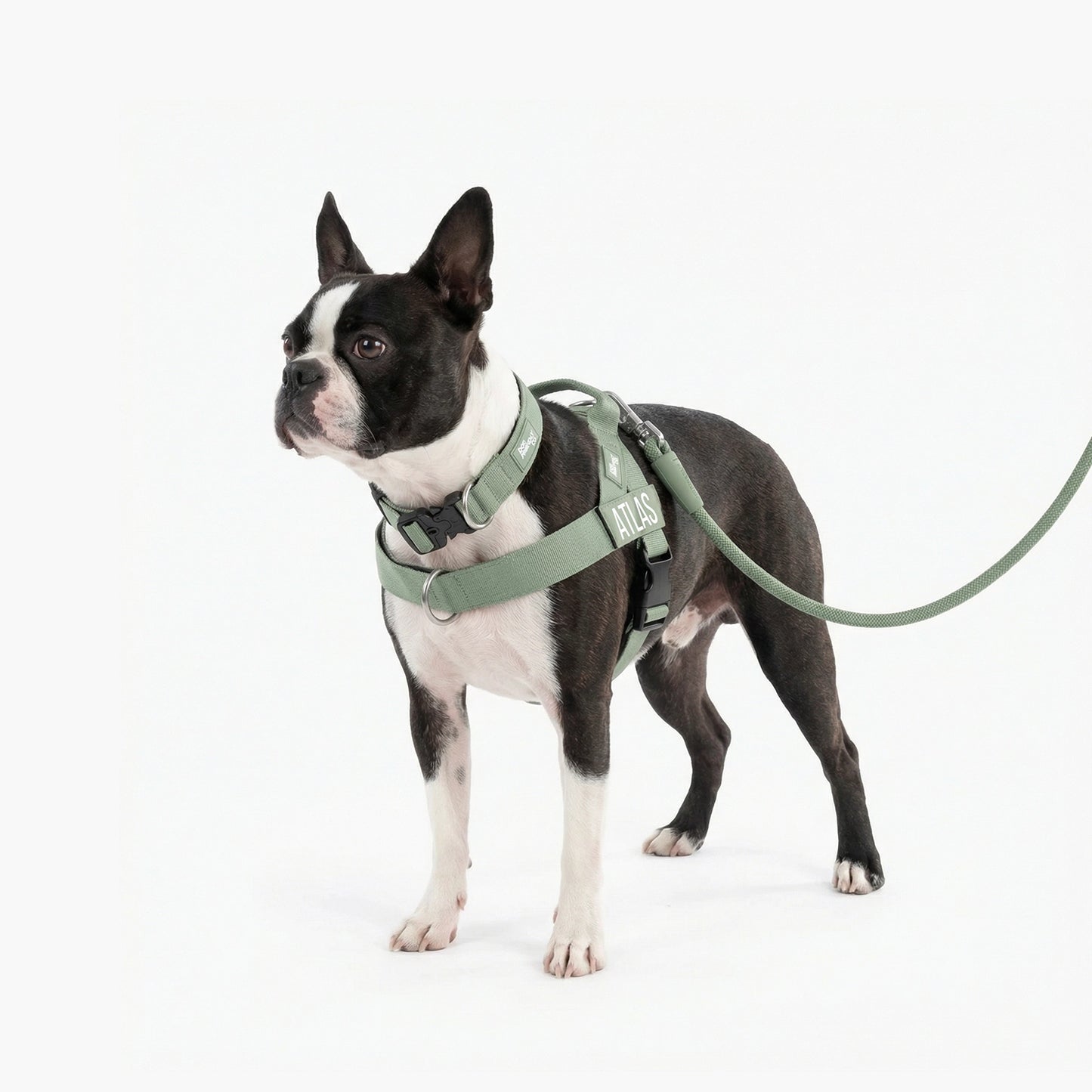 Ultimate No-Pull Bundle - Khaki