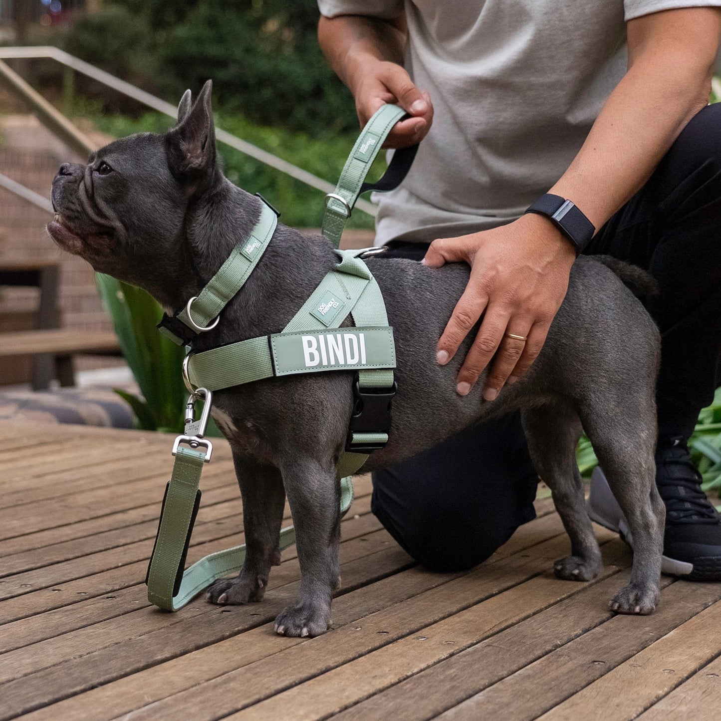 Ultimate No-Pull Bundle - Khaki