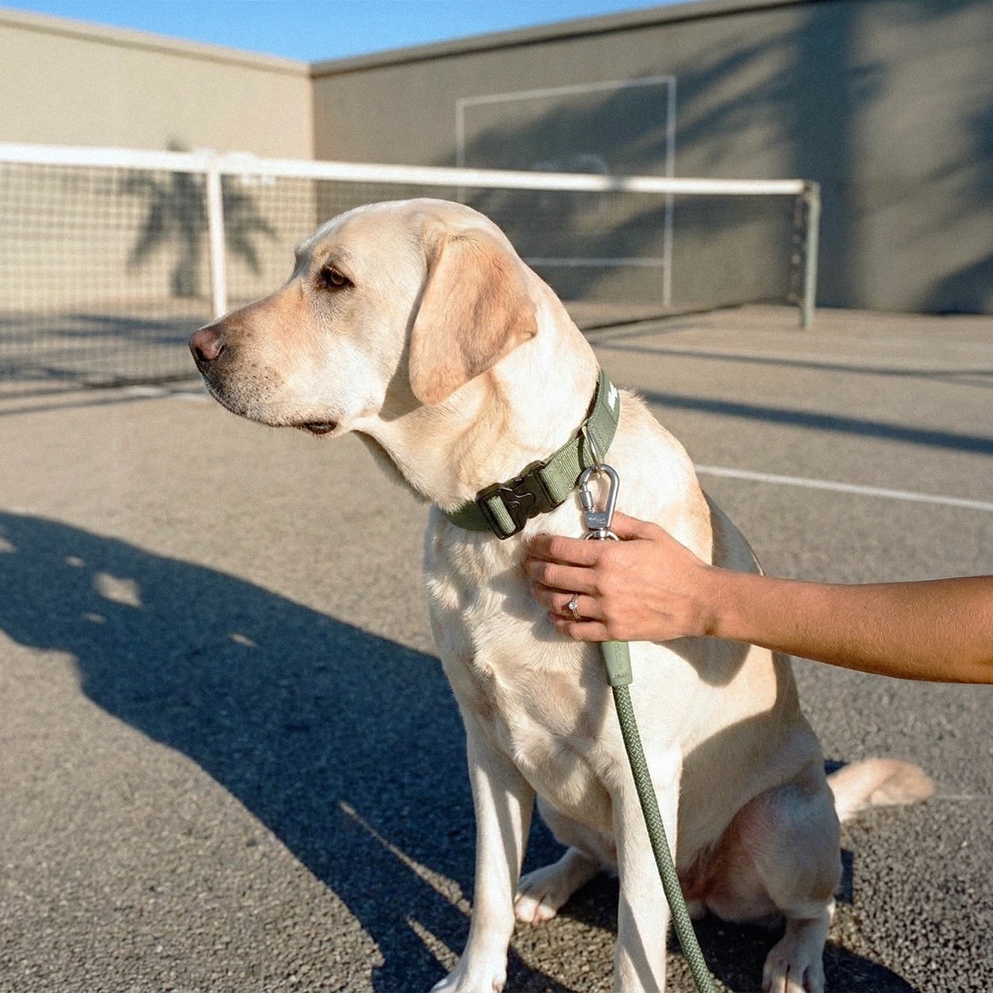 Ultimate No-Pull Bundle - Khaki