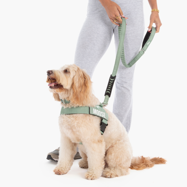 Walk Essentials - Khaki