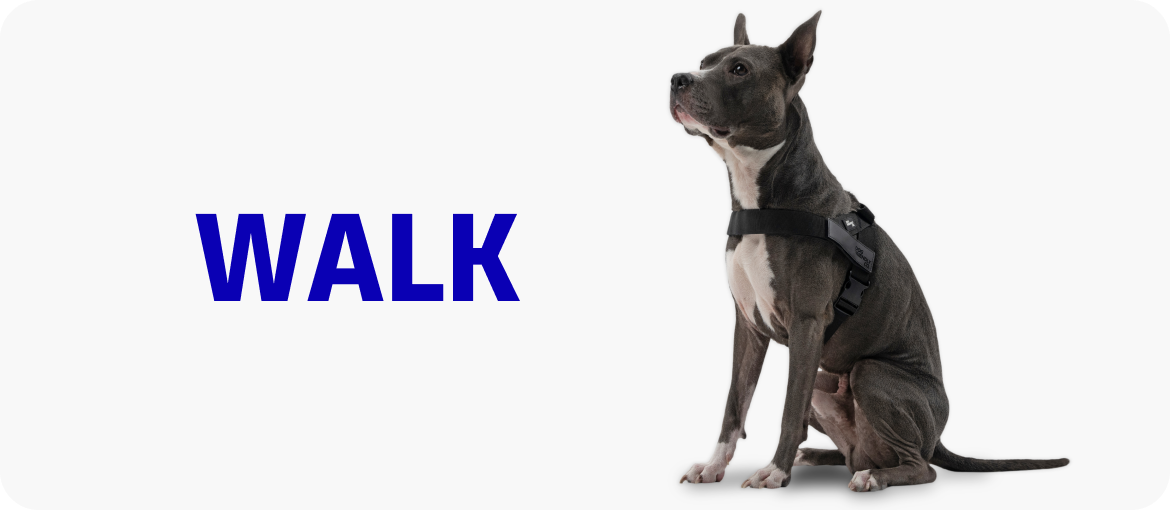 SHOP BY CATEGORY collection