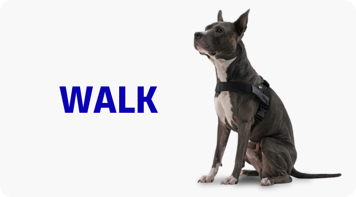 SHOP BY CATEGORY collection