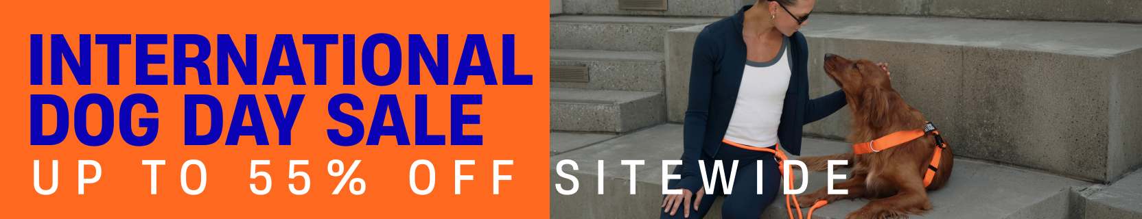 Promotional banner