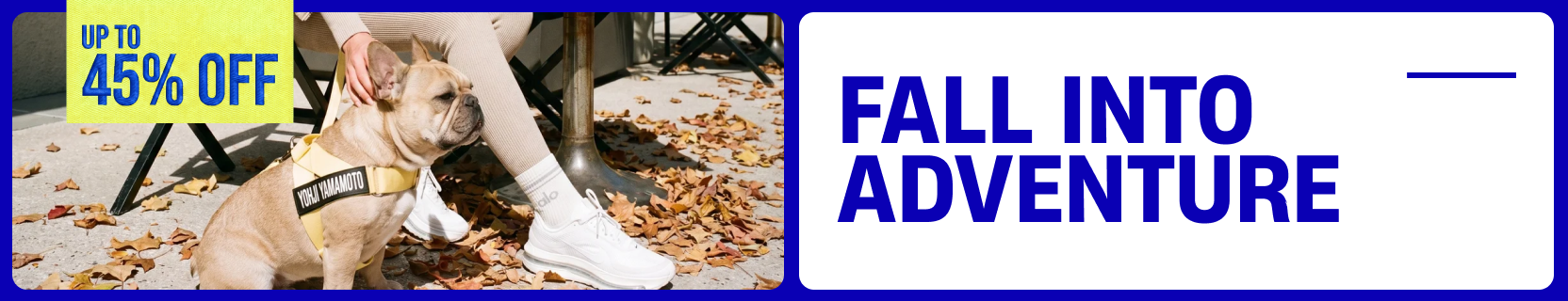 Promotional banner