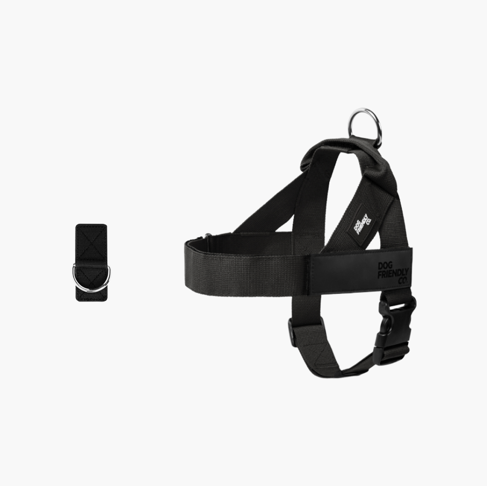 Dog Harness + FREE D-ring
