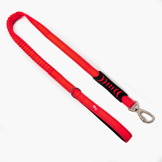 Bungee Dog Leash