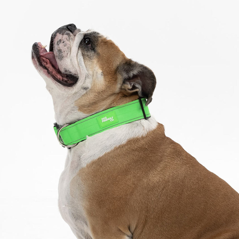 Tactical Dog Collar - Neon Green