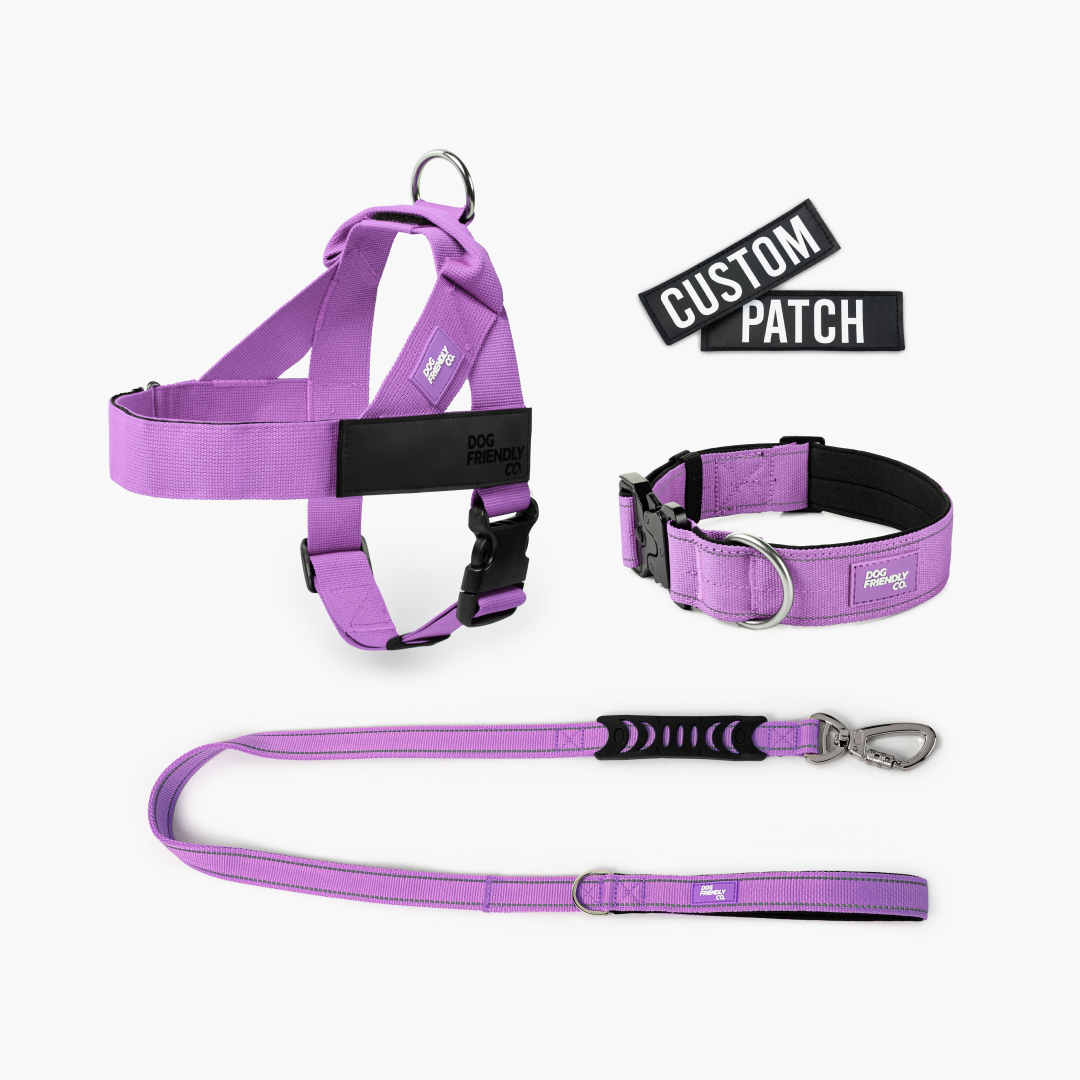 Dog Lovers Pack - Purple