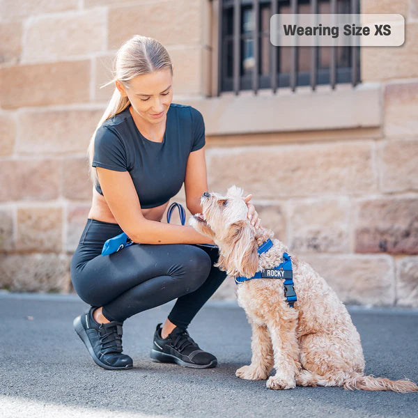 Dog Harness + FREE D-ring