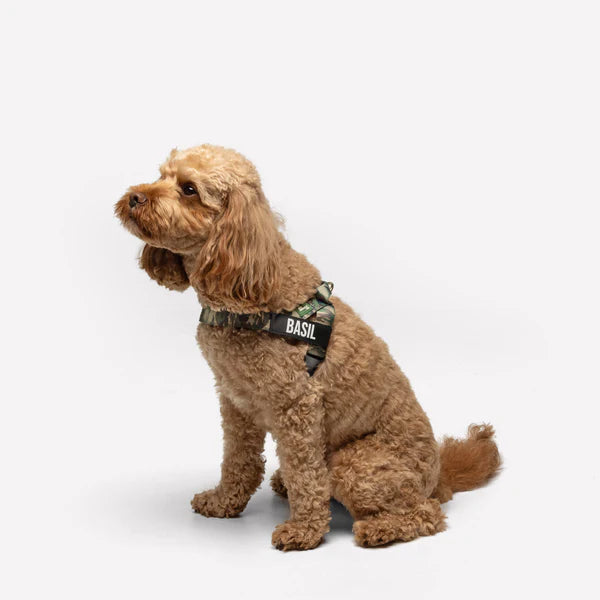 Dog Harness + FREE D-ring