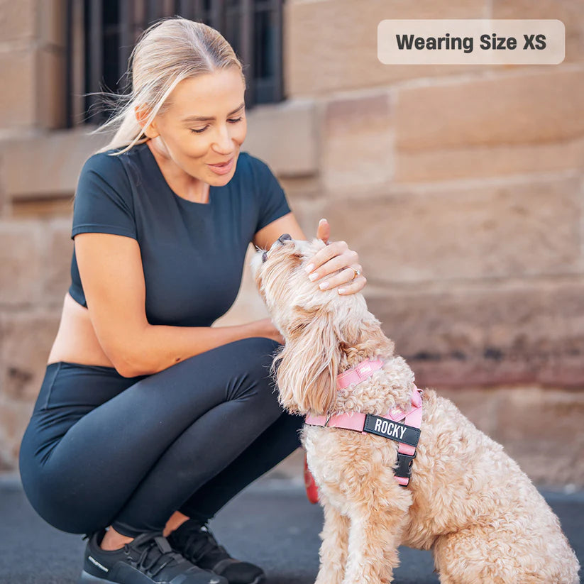 Dog Harness + FREE D-ring