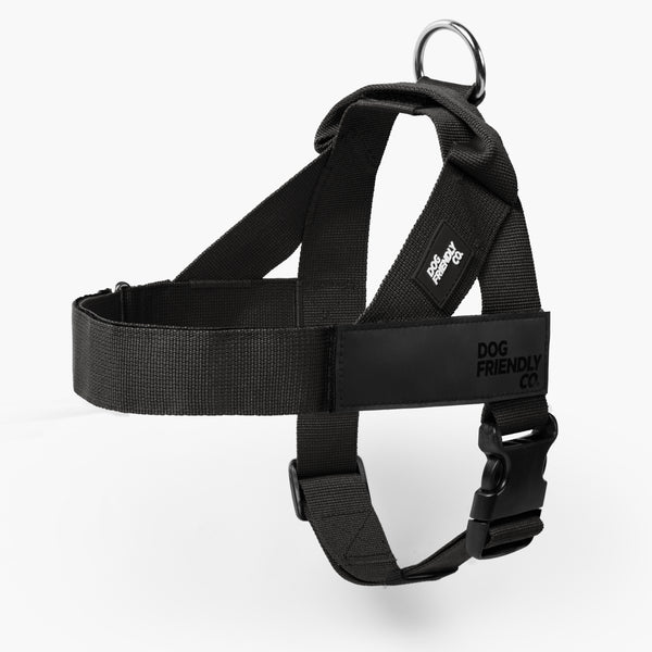 Harnesses