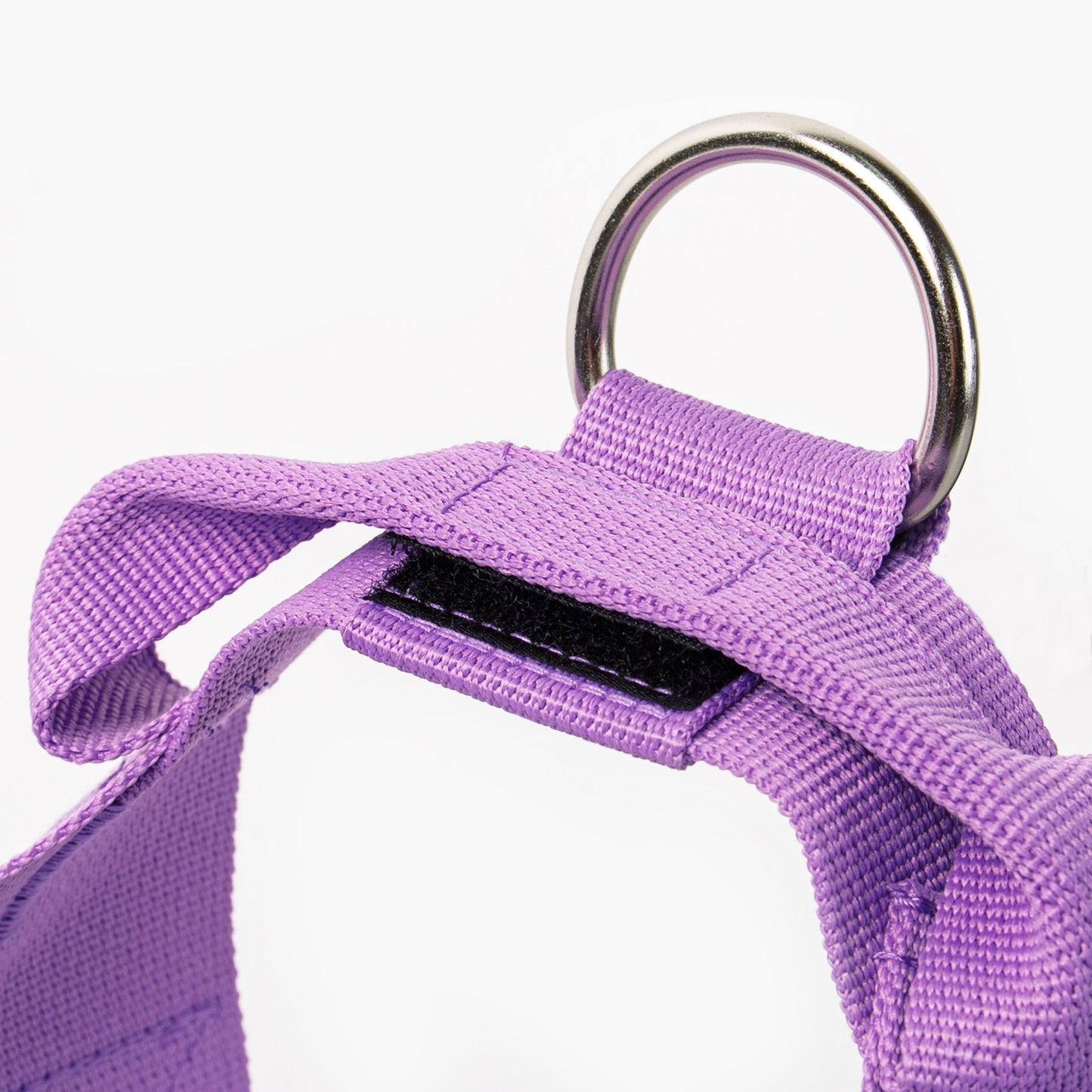 Dog Harness