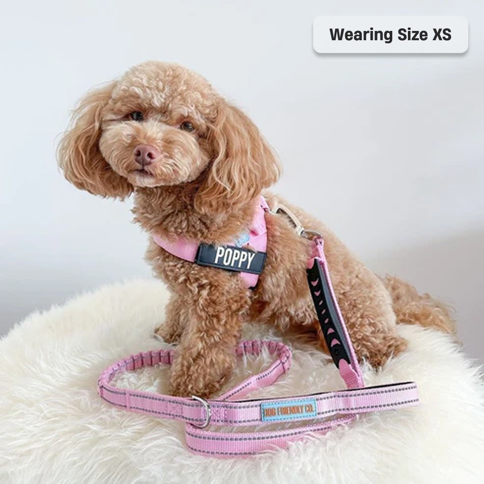Dog Harness - Pink