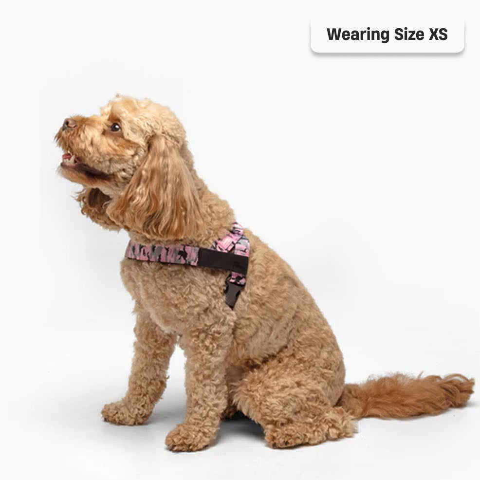 Dog Harness - Pink Camo