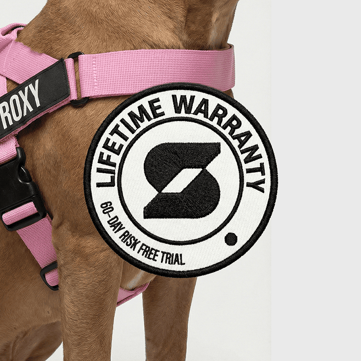 Personalised Dog Harness - Pink